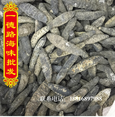 一手档口批发淡干野生北极海参干货 野生淡干海参海产品大连海参图1