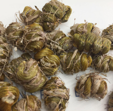 正宗产地新货特级霍山铁皮石斛多胶枫斗石斛干条一件代发零售批发图1