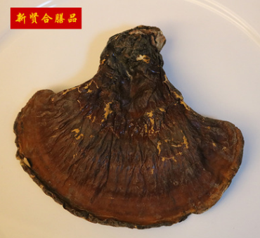 新贤合膳品 西藏林芝天然野生灵芝整枝灵芝批发 免费切片1斤3头图1