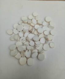 怀山药 去皮圆片 产地河北 1000g 中药材批发 规格齐全图1