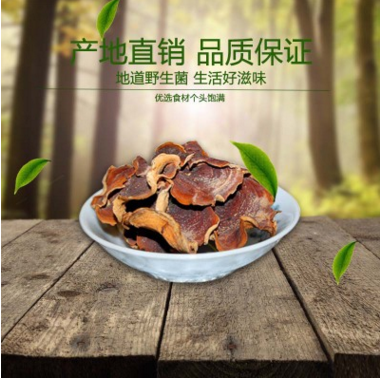 东北精选特级食用菌榆耳干货散装黄金侧耳鸡冠菌批发图1