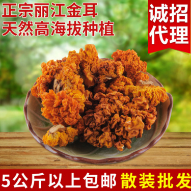 金耳批发 精品云南黄金木耳野生菌黄耳脑耳 产地直销 规格齐全图1