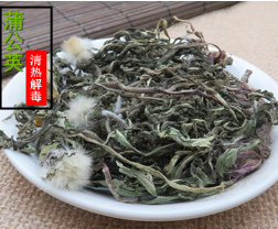 2017新货蒲公英干货 蒲公草 蒲公英草 婆婆丁 干净无杂 大量批发图1