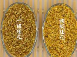 批发供应桂花茶 散装 桂花干 干桂花 精选无硫桂花茶 上枝供应图1