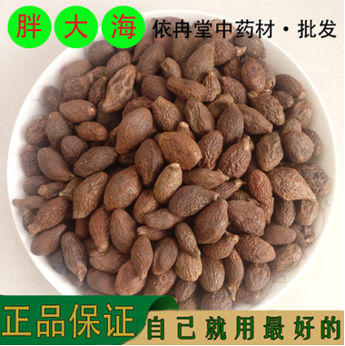 中药材批发 胖大海 精选胖大海 花草茶 质量保证 一级货 1000g图1