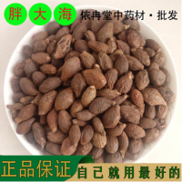 中药材批发 胖大海 精选胖大海 花草茶 质量保证 一级货 1000g