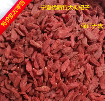 批发枸杞子专业批发精选大粒优质无硫绿色食品枸杞子实拍图1