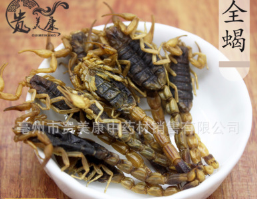贵美康中药材批发 清水全蝎 动物原药材蝎子全虫 散装 量大从优图1