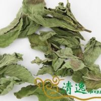 薄荷叶 中药材花草茶 薄荷叶茶 抓药 代发货 药店供货