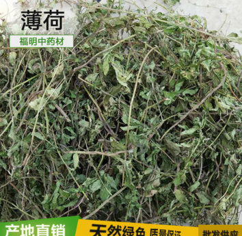 烘干薄荷叶 新鲜整棵薄荷 自家农场种植 薄荷花草茶 厂家直销图3
