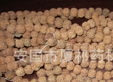 专业供应金刚菩提子 金刚菩提批发 通货金线菩提子原子原料图1