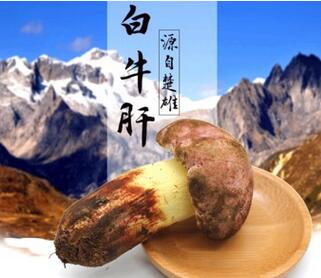 白葱菌批发 特级云南白葱菌 野生黄牛肝菌 白葱冻品 现货图1