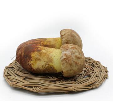 白葱菌批发 特级云南白葱菌 野生黄牛肝菌 白葱冻品 现货图3