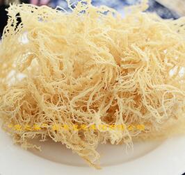 石花菜 龙须菜 鹿角菜 麒麟菜 海草海藻 珊瑚藻 凉拌菜食材海石花图1