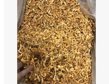 今天公布货源 豹子头虫草花 非常香 好货500g图2