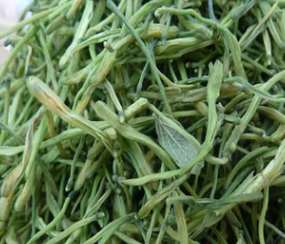 2016新货批发大货中药材 金银花 二花湖南金银花 清热解毒 包化验图1
