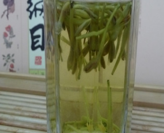 2016新货批发大货中药材 金银花 二花湖南金银花 清热解毒 包化验图2