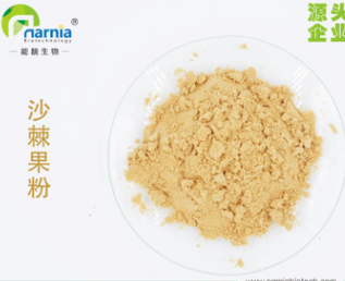 沙棘果粉 苹果香蕉蓝莓甜橙石榴葡萄柠檬番茄桑葚浆粉图2