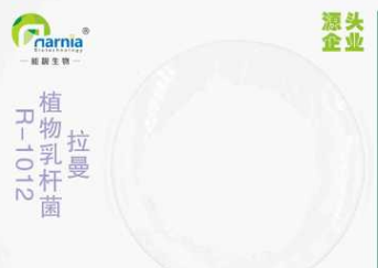 植物乳杆菌R-1012 拉曼益生菌 肠道健康乳酸菌 酸奶原料图3