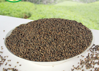 苦荞产地批发黑苦荞麦大颗粒全胚芽散装 苦荞面苦荞茶图1