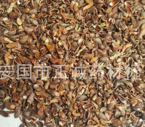 【正诚药业】柏子仁壳 柏壳柏树籽1000克 新货无杂质 量大从优图1