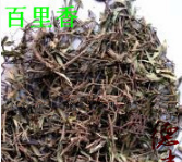 德丰供应中药材 百里香 麝香草 新货色优图2