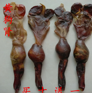 产地直销 优质中药材 黄狗肾 泡酒料图1