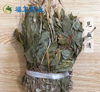 福卫药业 见血清 批发冷背药材 见血青图1