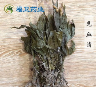 福卫药业 见血清 批发冷背药材 见血青图3