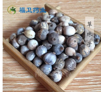 福卫药业 草菩提 草珠子图1