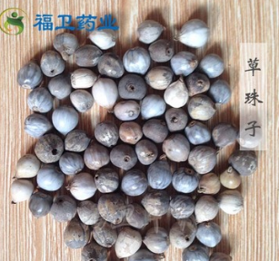 福卫药业 草菩提 草珠子图3