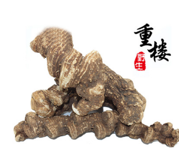 中药材批发野生重楼切片正品重楼个 七叶一枝花蚤休滇重楼批发图1