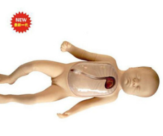 新生儿外周中心静脉插管模型