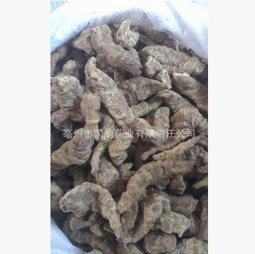 批发优质中药材土生地，白背三七，大救驾,大肥牛。图1