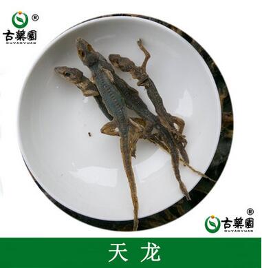 中药材批发 天龙 壁虎 爬墙虎 产地直销 零利润 成本价图1