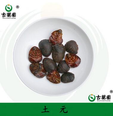 中药材批发 土元 土鳖虫 地鳖虫 产地直销 大货供应 量大从优图1