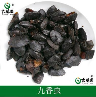 动物药材批发 清水野生九香虫 打屁虫 瓜黑蝽 产地直销 大货批发图1