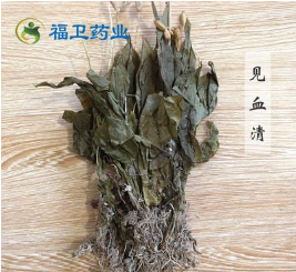 福卫药业 见血清 批发冷背药材 见血青图2