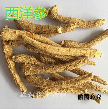 批发西洋参 山东产西洋参独支 独条滋补佳品 中药材 西洋参批发图1