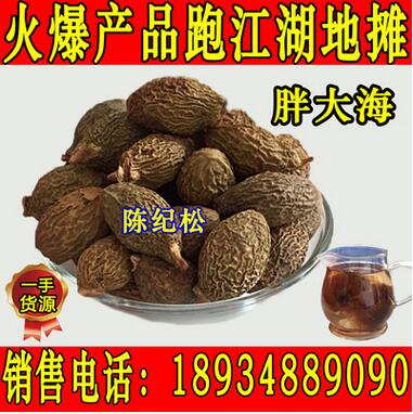 批发胖大海 大海子 中药材批发大量现货图1