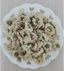 黄山菊花图1