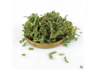 中草药 伸筋草 舒筋草 当季新货 色青无杂 提供大量现货直销图2