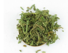 中草药 伸筋草 舒筋草 当季新货 色青无杂 提供大量现货直销图3