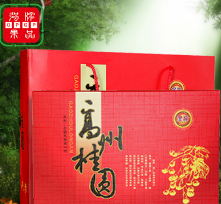 厂家直销 高州南国礼盒800g/套（2盒）桂圆肉干 龙眼肉 桂圆礼盒图1