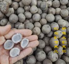 非洲海椰皇 批发海椰王 滋润糖水海底椰汤料伴侣 南美复椰子图2