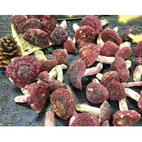 掌方記福建野生红菇精选食用三明正红菇孕妇月子食用红菇干货