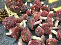 掌方記福建野生红菇精选食用三明正红菇孕妇月子食用红菇干货图3