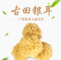 古田美味食用菌野生银耳 无硫白木耳雪耳 干货银耳图3