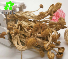 厂家直销 特级天然茶树菇冰菇 高品质古田特级茶薪菇图1