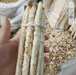中药配方北沙参 养生参类图1